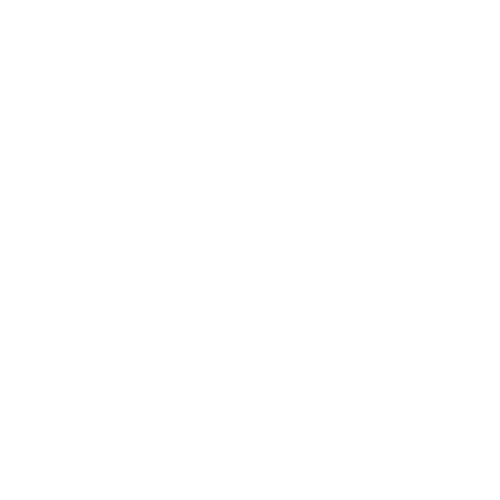 Vidéosurveillance